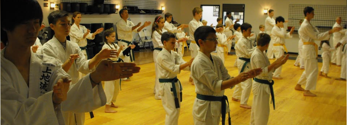 Dojo Training Floor